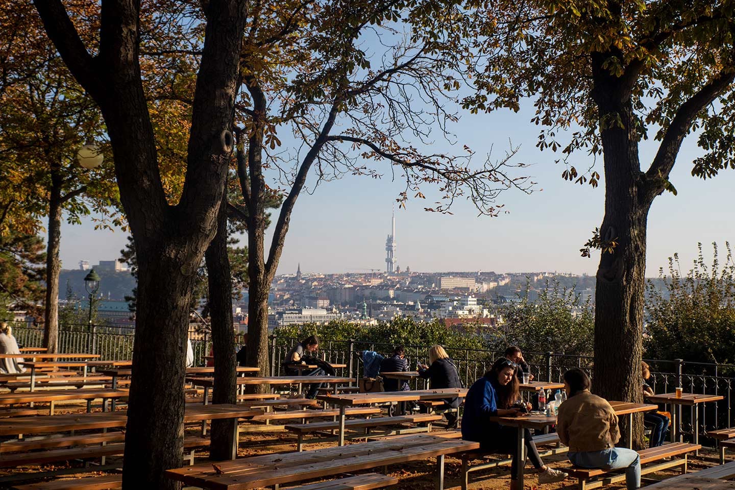 Letná park & kilátó kép 2